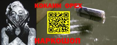 крисы Новокубанск