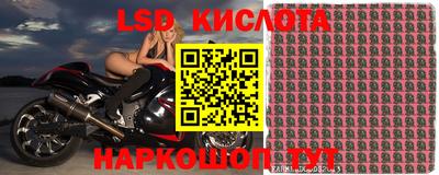 крисы Новокубанск