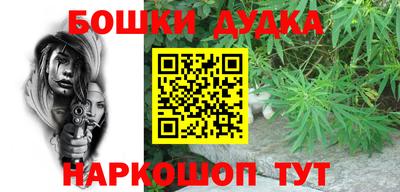 крисы Новокубанск