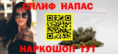 дживик Новозыбков
