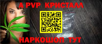 крисы Новокубанск