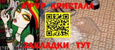 крисы Новокубанск