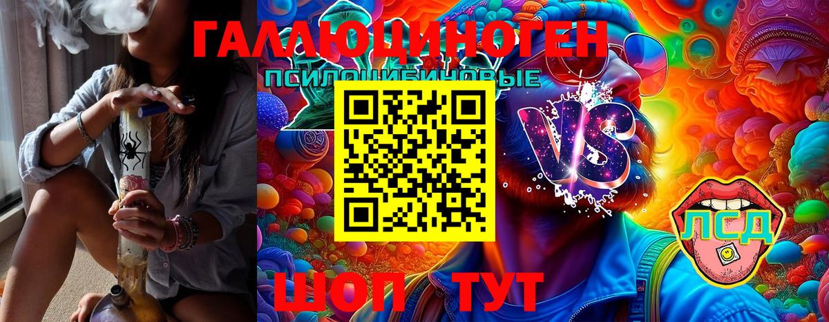 дарнет шоп  Псилоцибиновые грибы Cubensis  Галлюциногенные грибы GOLDEN TEACHER  Вход с VPN  Усть-Илимск 